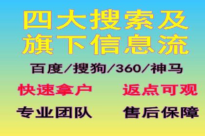优化SEM广告投放：成功案例分享